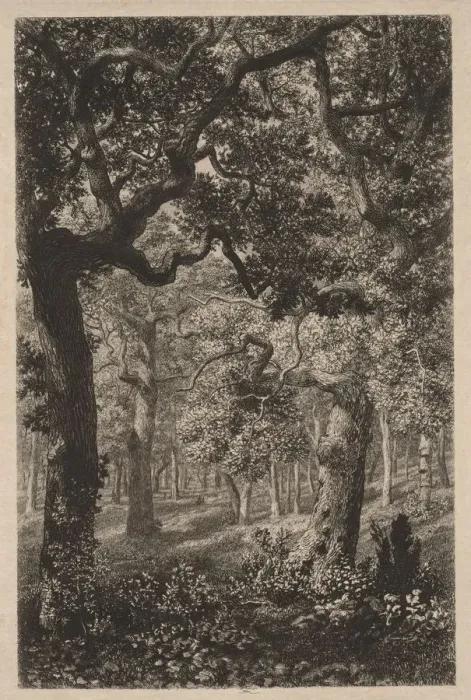 Framed Print : In the Woods. Creator: Adolphe Theodore Jules Martial Potemont (French, 1828-1883) Framed Print : In the Woods. Creator: Adolphe Theodore Jules Martial Potemont (French, 1828-1883)