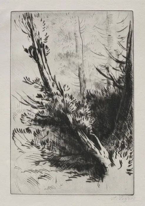 Framed Print : In the Woods. Creator: Alphonse Legros (French, 1837-1911) Framed Print : In the Woods. Creator: Alphonse Legros (French, 1837-1911)