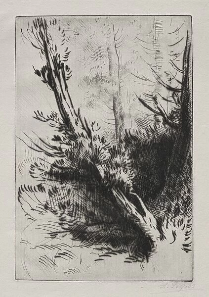 In the Woods. Creator: Alphonse Legros (French, 1837-1911)