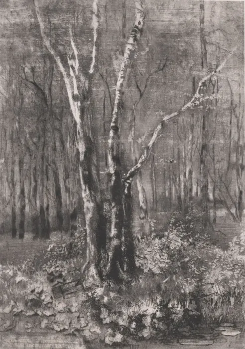 Framed Print : Woods in the Park near Monza, 1895. Creator: Mose, Bianchi Framed Print : Woods in the Park near Monza, 1895. Creator: Mose, Bianchi