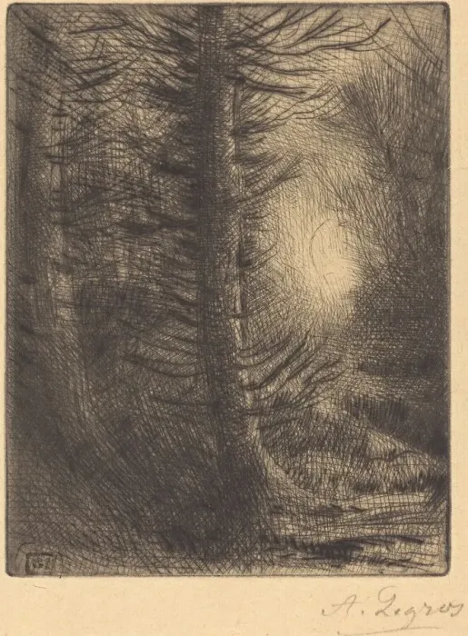 Framed Print : Woods in Winter Sun, 1st plate (Soleil d hiver dans les bois). Creator: Alphonse Legros Framed Print : Woods in Winter Sun, 1st plate (Soleil d hiver dans les bois). Creator: Alphonse Legros
