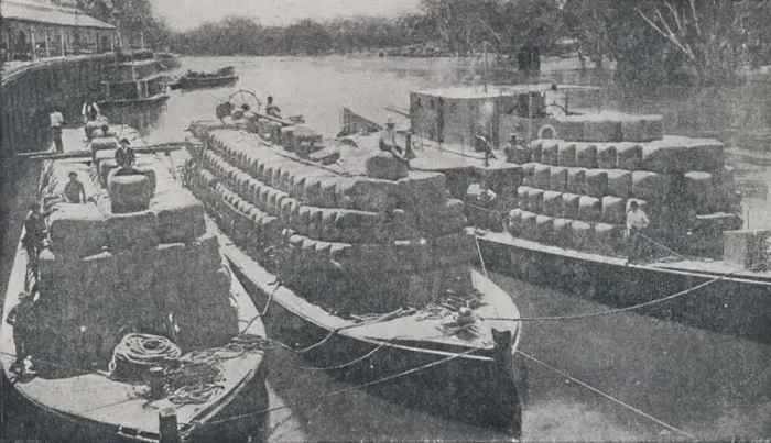 Framed Print : Wool Barges on the Murray River, 1923. Creator: Unknown Framed Print : Wool Barges on the Murray River, 1923. Creator: Unknown