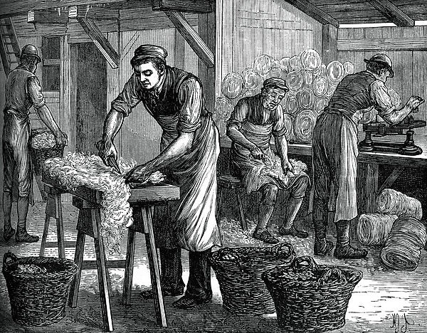 Wool sorters, c1880
