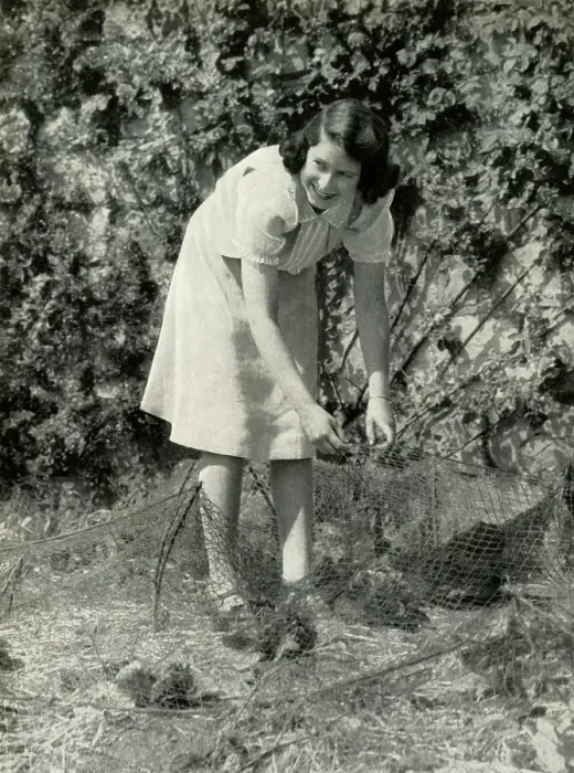 Framed Print : At Work in Her Garden - Windsor, 1941, 1947. Creator: Unknown Framed Print : At Work in Her Garden - Windsor, 1941, 1947. Creator: Unknown