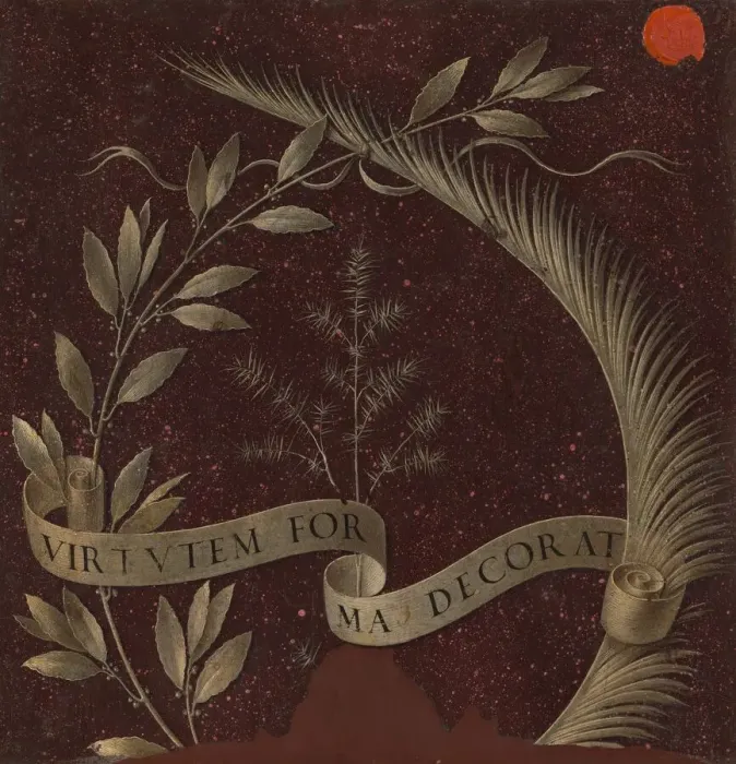 Framed Print : Wreath of Laurel, Palm, and Juniper with a Scroll inscribed Virtutem Forma Decorat Framed Print : Wreath of Laurel, Palm, and Juniper with a Scroll inscribed Virtutem Forma Decorat