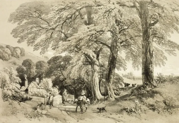Framed Print : Wych Elm, from The Park and the Forest, 1841. Creator: James Duffield Harding Framed Print : Wych Elm, from The Park and the Forest, 1841. Creator: James Duffield Harding