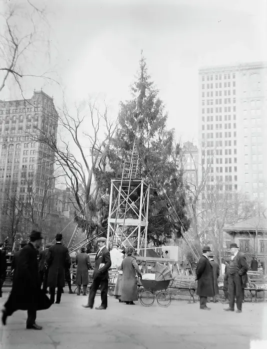 Framed Print : Xmas tree in Madison Sq. Park, N.Y.C. between c1910 and c1915. Creator: Bain News Service Framed Print : Xmas tree in Madison Sq. Park, N.Y.C. between c1910 and c1915. Creator: Bain News Service