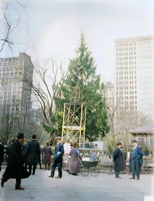Framed Print : Xmas tree in Madison Sq. Park, N.Y.C. between c1910 and c1915. Creator: Bain News Service Framed Print : Xmas tree in Madison Sq. Park, N.Y.C. between c1910 and c1915. Creator: Bain News Service