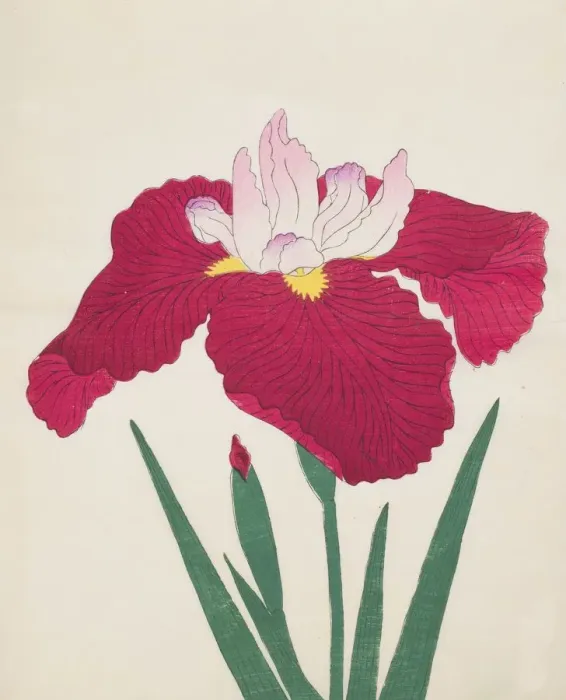 Framed Print : Yamamatayama, No. 83, 1890, (colour woodblock print) Framed Print : Yamamatayama, No. 83, 1890, (colour woodblock print)