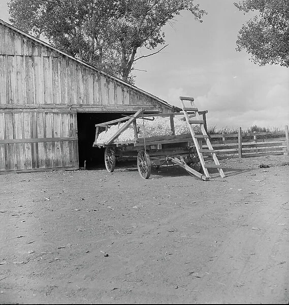 Yard barn and cotton wagon on small California cotton farm, Kern County, California, 1938. Creator: Dorothea Lange