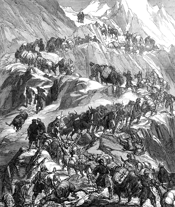 Framed Print : The Yarkund Mission: mules and baggage-train going over the Grim (Sanjoo) Pass, 1874. Creator: Unknown Framed Print : The Yarkund Mission: mules and baggage-train going over the Grim (Sanjoo) Pass, 1874. Creator: Unknown