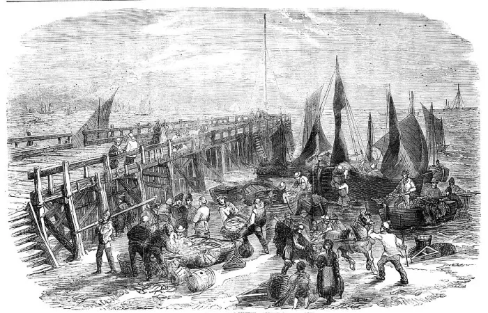 Framed Print : The Yarmouth Herring Fishery - Return of the Boats, 1856. Creator: Walter Ray Woods Framed Print : The Yarmouth Herring Fishery - Return of the Boats, 1856. Creator: Walter Ray Woods