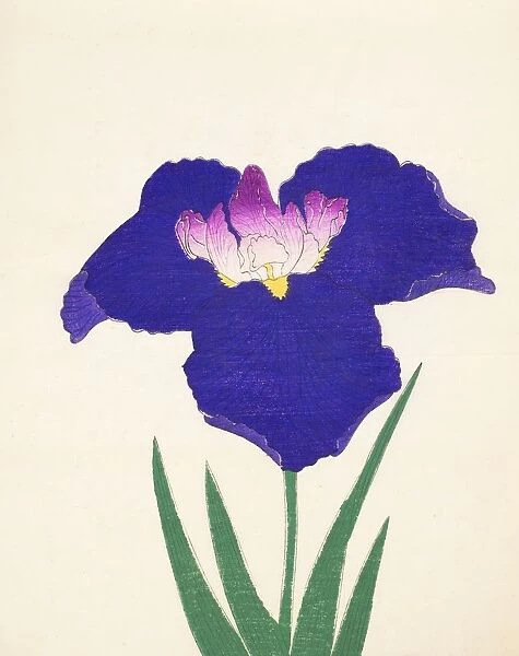 Yedo-Jiman, No. 36, 1890, (colour woodblock print)