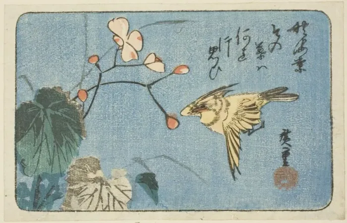 Framed Print : Yellow bird and begonia, n. d. Creator: Ando Hiroshige Framed Print : Yellow bird and begonia, n. d. Creator: Ando Hiroshige