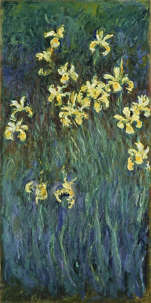 Yellow Irises, 1914-1917. Artist: Monet, Claude (1840-1926)