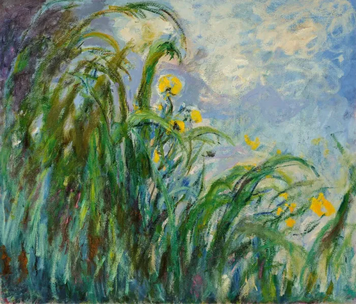 Framed Print : Yellow irises, c. 1925. Creator: Monet, Claude (1840-1926) Framed Print : Yellow irises, c. 1925. Creator: Monet, Claude (1840-1926)