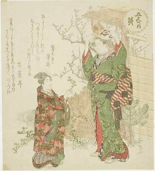 Yellow (Ki), from the series 'Five Colors (Goshiki no uchi)', c. 1820