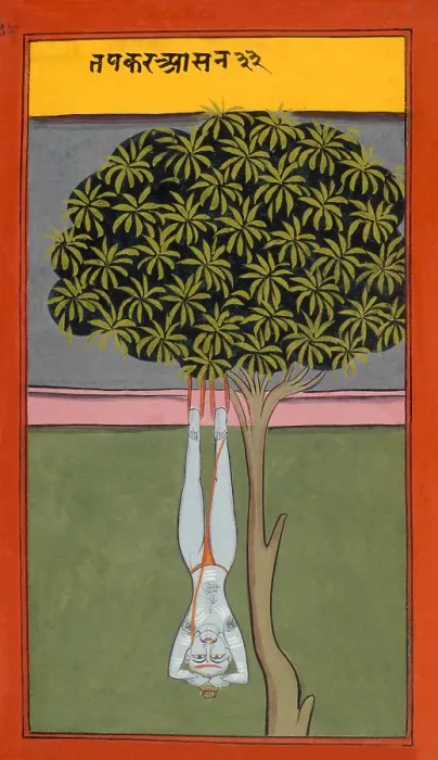 Framed Print : A yogi hanging by his feet from a tree, 19th century. Creator: Unknown Framed Print : A yogi hanging by his feet from a tree, 19th century. Creator: Unknown