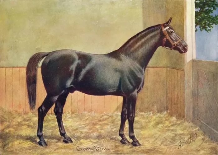 Framed Print : Yorkshire Coach Horse stallion Crown Prince, 1902 (c1910). Artist: Henry Powell Palfrey Framed Print : Yorkshire Coach Horse stallion Crown Prince, 1902 (c1910). Artist: Henry Powell Palfrey