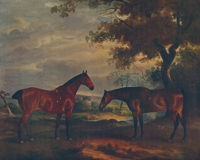 Framed Print : Yorkshire Hunters at Grass, c1840, (1922). Artist: John Ferneley Framed Print : Yorkshire Hunters at Grass, c1840, (1922). Artist: John Ferneley