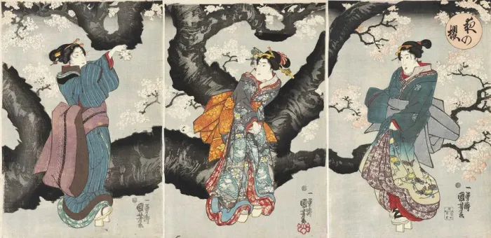 Framed Print : Yoru no sakura (Cherry Blossoms at Night), c1846 Framed Print : Yoru no sakura (Cherry Blossoms at Night), c1846