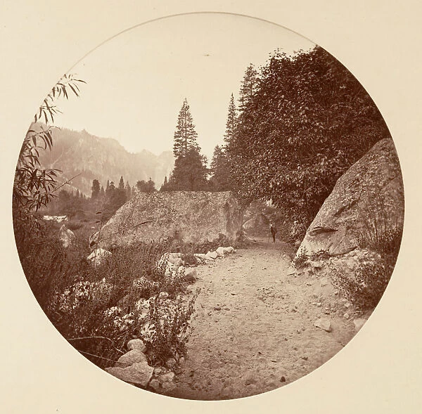 [Yosemite National Park, California], ca. 1878. Creator: Carleton Emmons Watkins