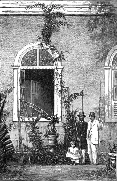 Framed Print : Young Climbing-palm at a country house near Rio Janeiro; The Climbing Palm-tree, (Desmoncus), 1875 Creator: Unknown Framed Print : Young Climbing-palm at a country house near Rio Janeiro; The Climbing Palm-tree, (Desmoncus), 1875 Creator: Unknown
