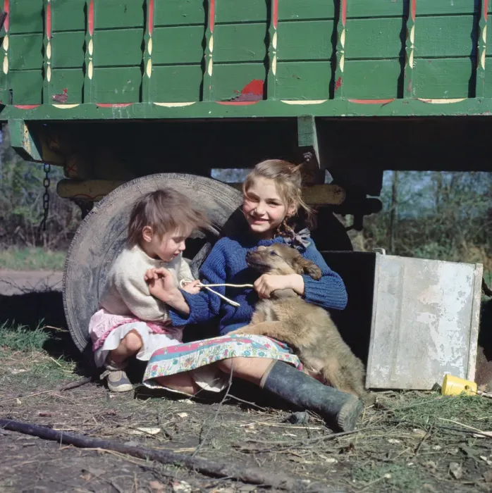 Framed Print : Two young gipsy girls playing with a dog, Charlwood, Newdigate area, Surrey, 1964 Framed Print : Two young gipsy girls playing with a dog, Charlwood, Newdigate area, Surrey, 1964