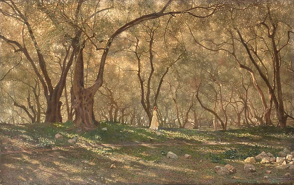 Young girl under the olive trees - Menton, c.1897. Creator: Henry Brokman