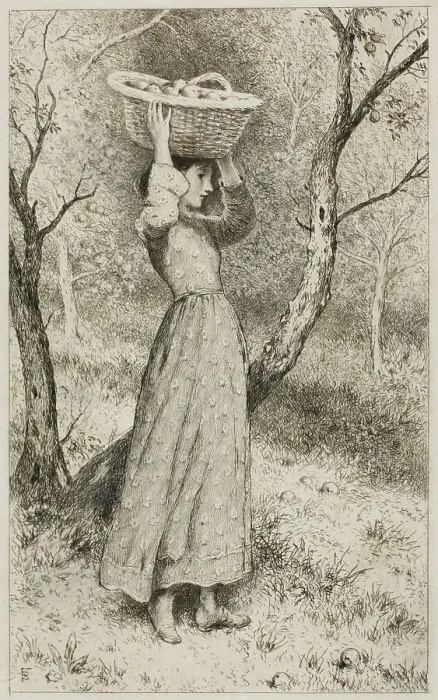 Framed Print : Young Girl in an Orchard with a Basket of Fruit, c.1850. Creator: Birket Foster Framed Print : Young Girl in an Orchard with a Basket of Fruit, c.1850. Creator: Birket Foster