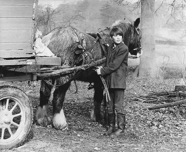 Young gypsy with a horse, 1960s