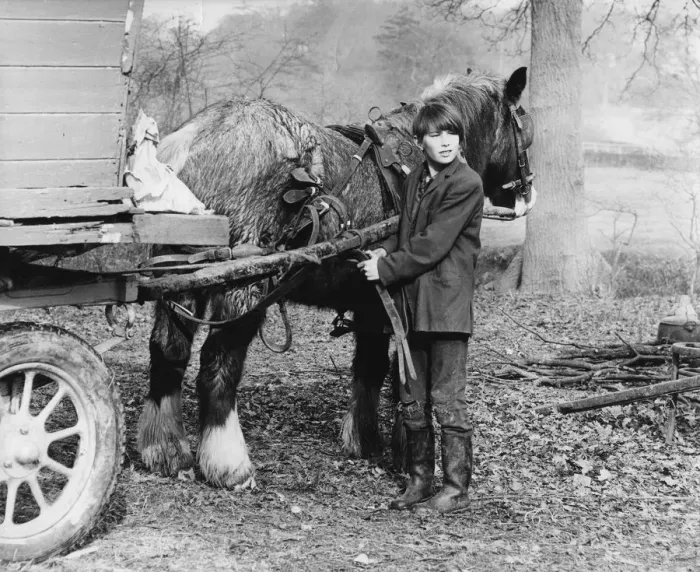 Framed Print : Young gypsy with a horse, 1960s Framed Print : Young gypsy with a horse, 1960s