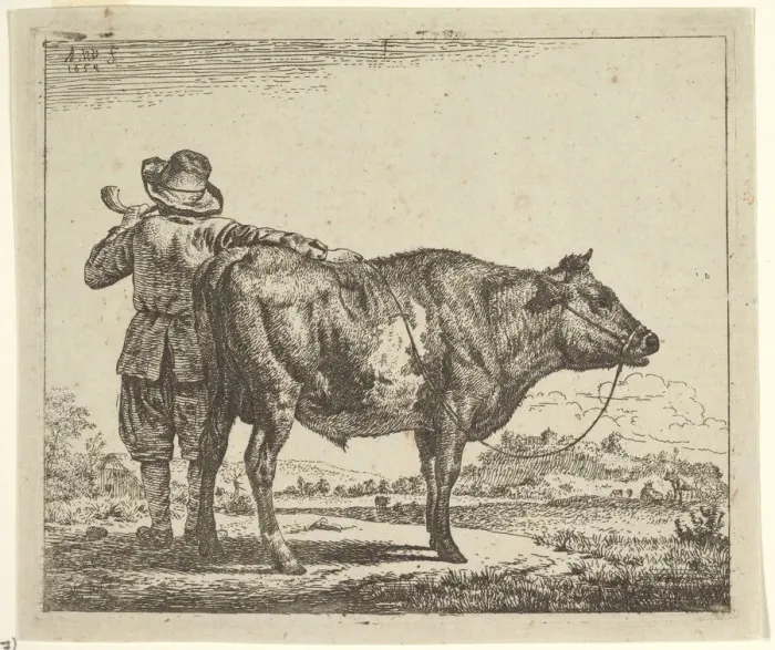 Framed Print : Young Herdsman with a Bull, from Different Animals, 1659. Creator: Adriaen van de Velde Framed Print : Young Herdsman with a Bull, from Different Animals, 1659. Creator: Adriaen van de Velde