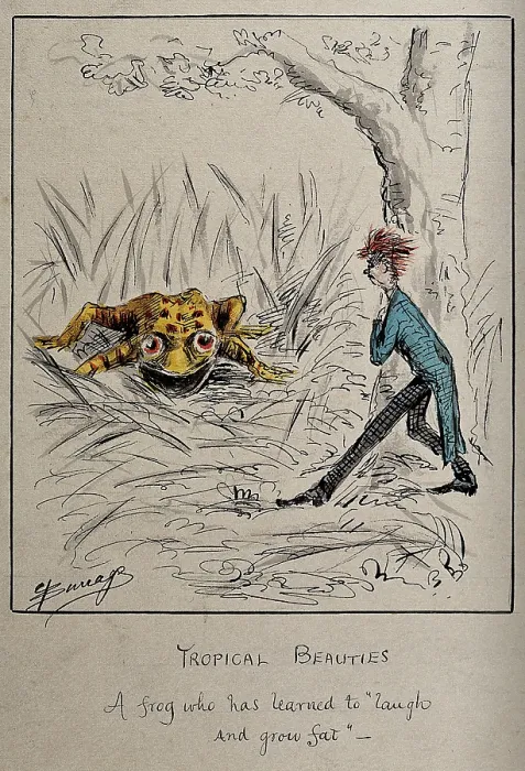 Framed Print : A young man chances on a gigantic yellow frog, c1860s. Creator: Edwin Harcourt Burrage Framed Print : A young man chances on a gigantic yellow frog, c1860s. Creator: Edwin Harcourt Burrage