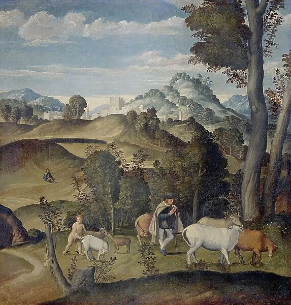 The Young Mercury Stealing Cattle from the Herd of Apollo, 1530-1550. Creator: Girolamo da Santacroce