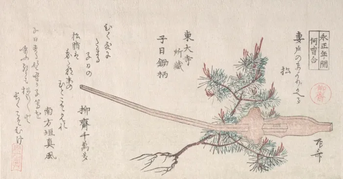 Framed Print : Young Pine Tree and the Handle of a Plow, 19th century. 19th century. Creator: Shinsai Framed Print : Young Pine Tree and the Handle of a Plow, 19th century. 19th century. Creator: Shinsai