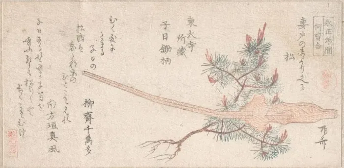 Framed Print : Young Pine Tree and Handle of a Plow, 19th century. 19th century. Creator: Shinsai Framed Print : Young Pine Tree and Handle of a Plow, 19th century. 19th century. Creator: Shinsai