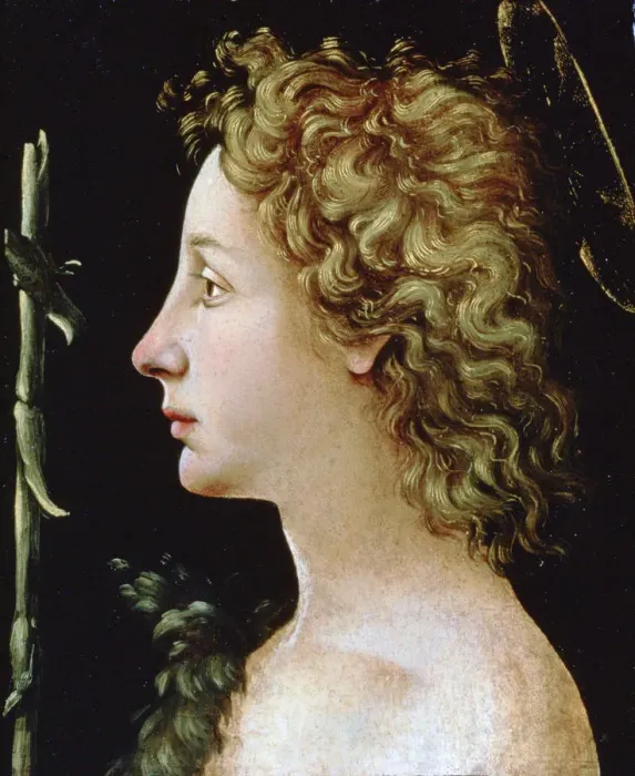 Framed Print : The Young Saint John the Baptist, c1482-1522. Artist: Piero di Cosimo Framed Print : The Young Saint John the Baptist, c1482-1522. Artist: Piero di Cosimo