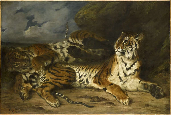 Young Tiger Playing with Its Mother, 1830. Creator: Delacroix, Eugene (1798-1863)