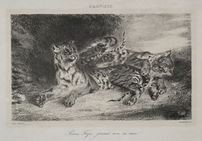 Framed Print : Young Tiger Playing with its Mother, 1831. Creator: Eugene Delacroix (French, 1798-1863) Framed Print : Young Tiger Playing with its Mother, 1831. Creator: Eugene Delacroix (French, 1798-1863)
