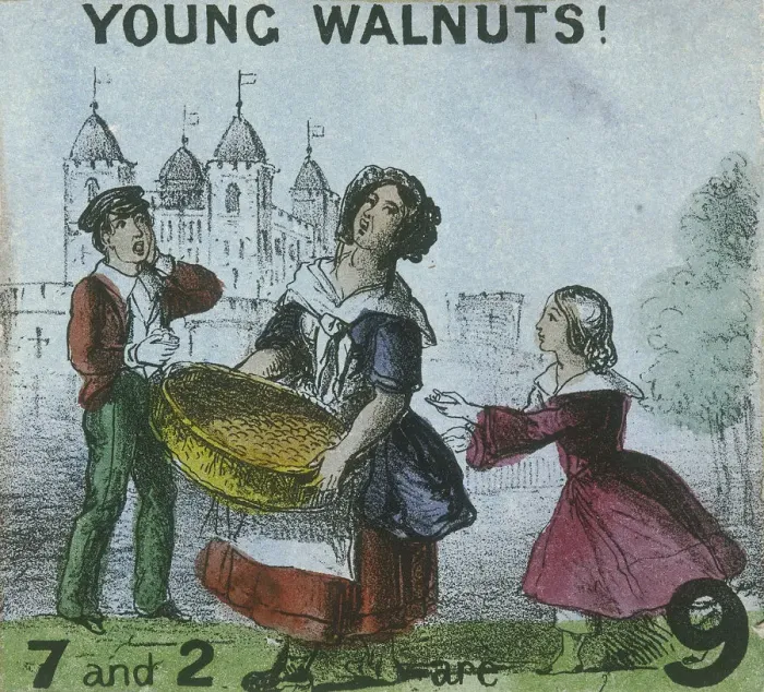 Framed Print : Young Walnuts!, Cries of London, c1840. Artist: TH Jones Framed Print : Young Walnuts!, Cries of London, c1840. Artist: TH Jones