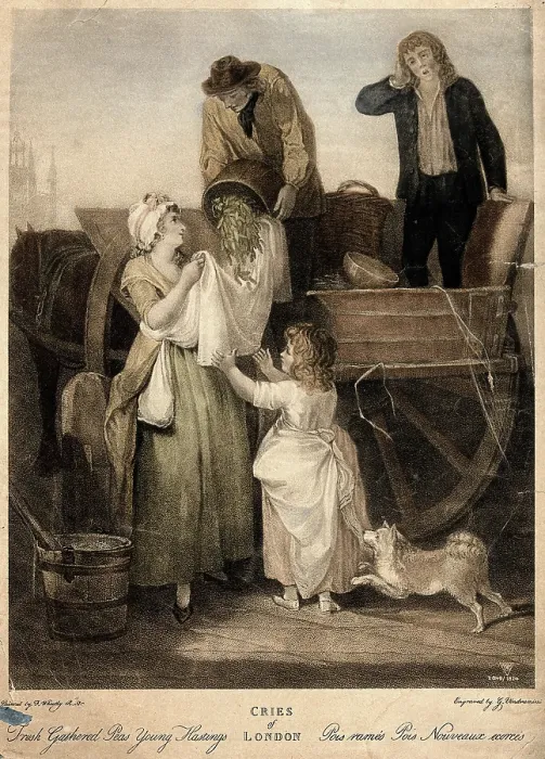 Framed Print : A young woman is holding up her apron to catch the peas which are being poured... c1790s Creator: Francis Wheatley Framed Print : A young woman is holding up her apron to catch the peas which are being poured... c1790s Creator: Francis Wheatley