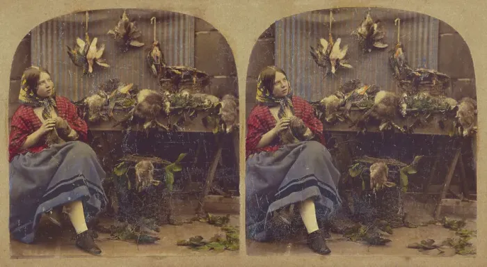 Framed Print : Young woman seated by table with dead fowl, rabbits, etc. about 1860. Creator: Unknown Framed Print : Young woman seated by table with dead fowl, rabbits, etc. about 1860. Creator: Unknown