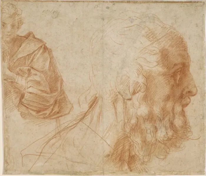 Framed Print : A youth and the head of an old man (Homer?). Study, ca 1521. Artist: Andrea del Sarto (1486-1531) Framed Print : A youth and the head of an old man (Homer?). Study, ca 1521. Artist: Andrea del Sarto (1486-1531)