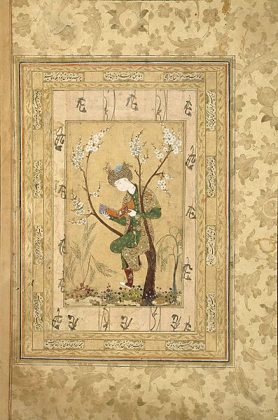 Youth Seated in the Fork of a Blossoming Tree, 1560s. Artist: Iranian master