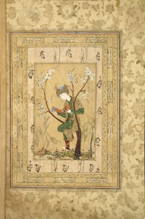 Framed Print : Youth Seated in the Fork of a Blossoming Tree, 1560s. Artist: Iranian master Framed Print : Youth Seated in the Fork of a Blossoming Tree, 1560s. Artist: Iranian master