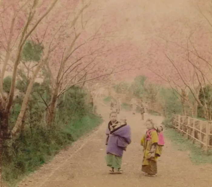 Framed Print : Youthful Mothers of Japan, 1896 Framed Print : Youthful Mothers of Japan, 1896