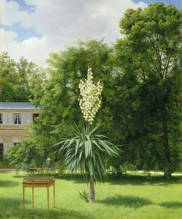 Framed Print : Yucca Gloriosa in the Park at Neuilly, 1845 Framed Print : Yucca Gloriosa in the Park at Neuilly, 1845