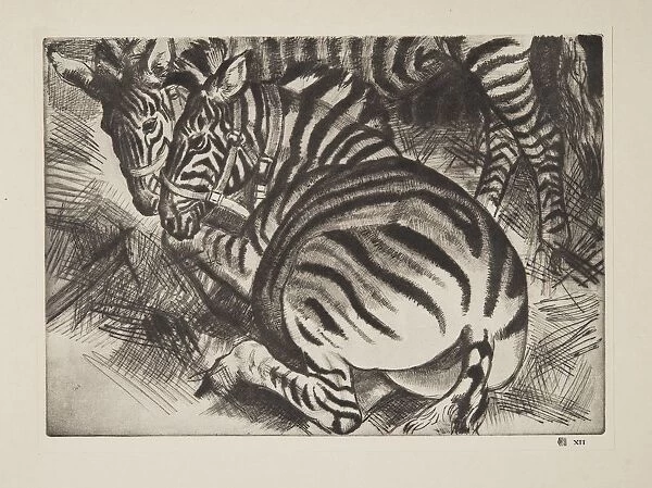 Zebras, pub. 1930. Creator: Laura Knight (1877 - 1970)