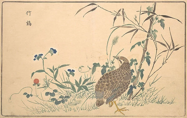 Zhu ji, 1789. Creator: Kitao Masayoshi